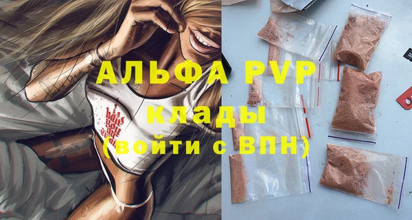 прущие грибы Долгопрудный