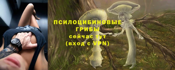 mix Лабытнанги