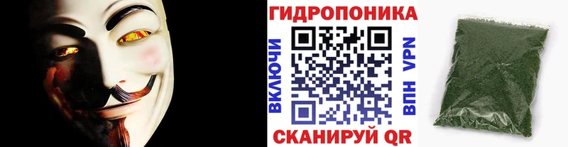 Бошки марихуана индика Ува
